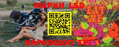 амф Новодвинск