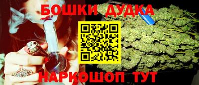 амф Новодвинск